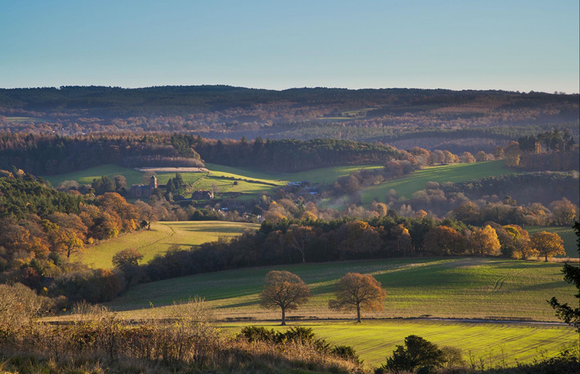 Surrey Hills, Surrey